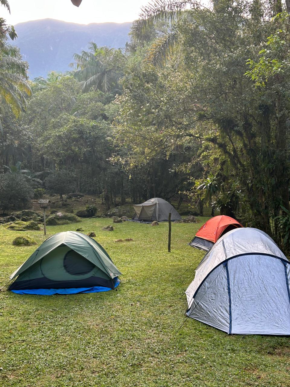 Tents at a campsite surrounded by forest and mountains